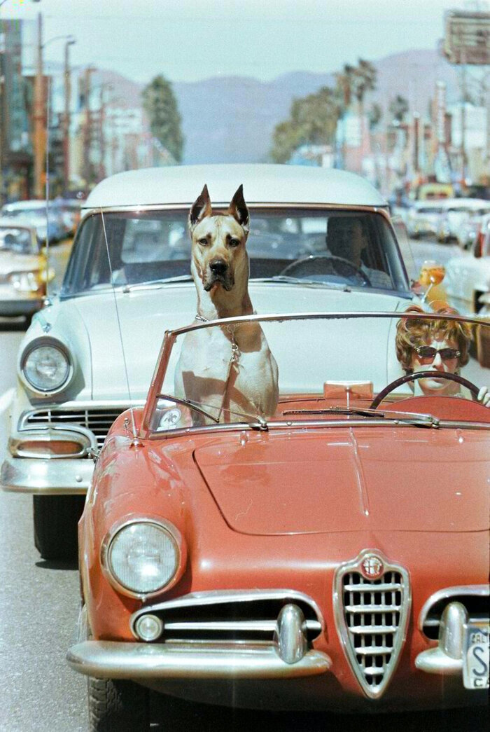 ��������: ����� �����