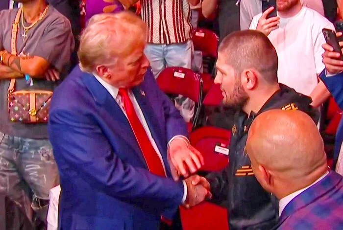 Resident error - Donald Trump, Khabib Nurmagomedov, Resident, Humor