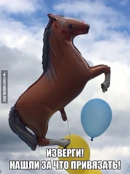 Nevermind... - Balloon, Picture with text, Humor, Strange humor, Stubborn horse