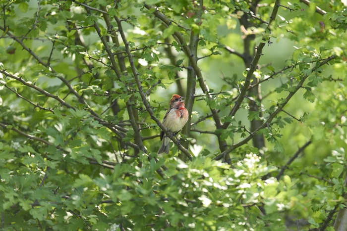 Витю видел?!)