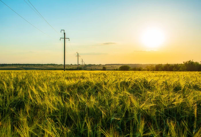 Through the field... - My, The photo, Nature, Nikon, Landscape, Power lines, Field