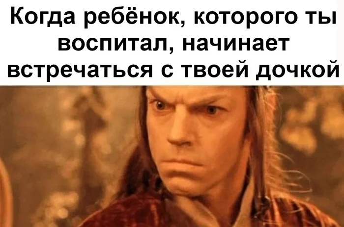 What do you mean? - Lord of the Rings, Elrond, Aragorn, Arwen, Picture with text, Translated by myself, VKontakte (link)