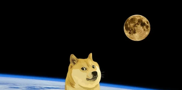 Dogecoin: from a joke to charity and popularity - Cryptocurrency, Bitcoins, Elon Musk, Dogecoin