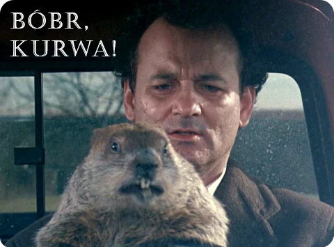 Beaver Day - My, beaver whore, Memes, Polish language, Marmot, Groundhog Day, Bill Murray, Picture with text, Humor