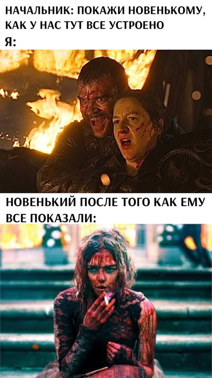 When I got a job in a dynamically developing company with a friendly team - Work, Новичок, Humor, Picture with text, Company, Telegram (link)