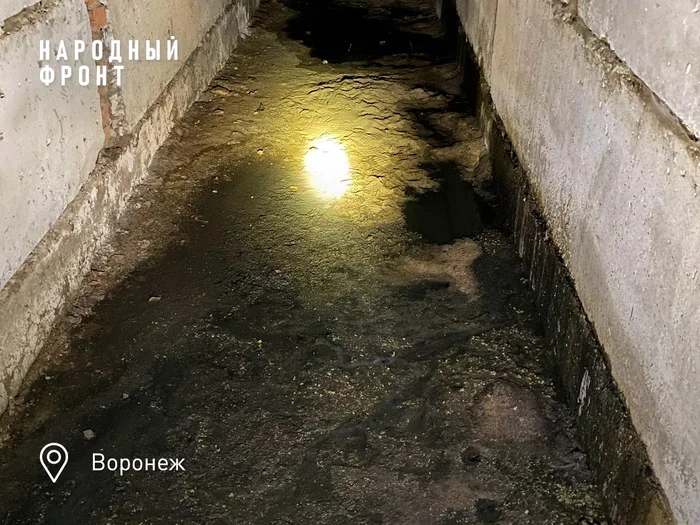 The negligent Voronezh “manager” was sued, and its director will be fined - My, Housing and communal services, Voronezh, Negative, The photo, House, People, Health, Longpost