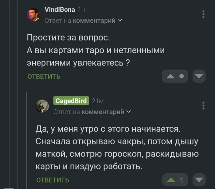 Идеальный распорядок на утро - Скриншот, Комментарии на Пикабу, Мат