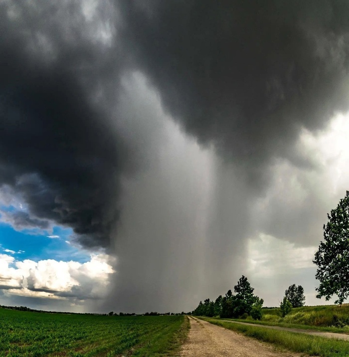 (фото не мое)