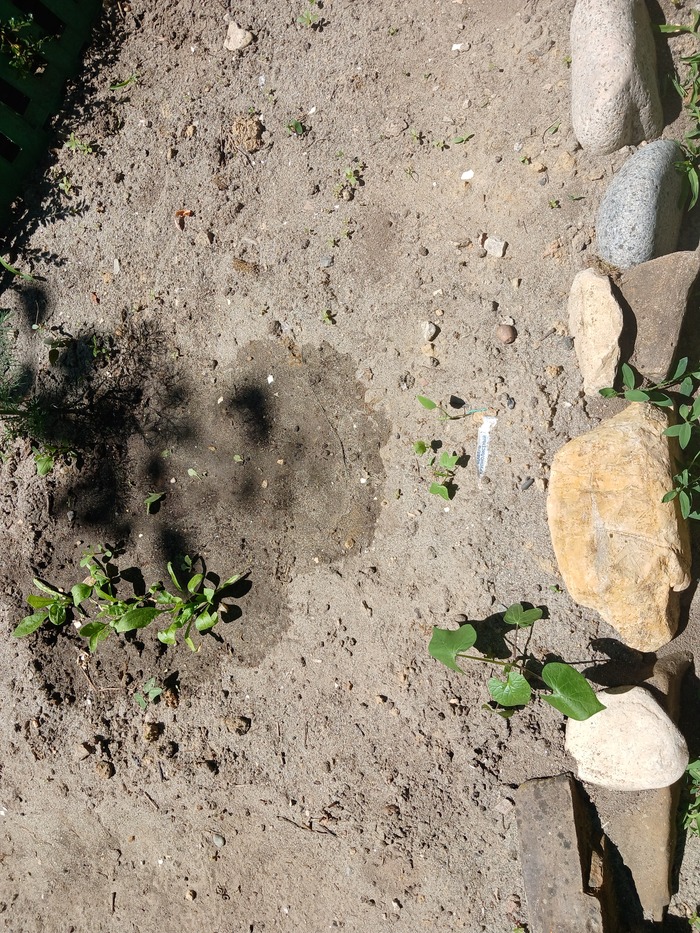 ������ ������-�� � ����� ������� ���� ������, � � ������ �� �������. � ������ ���, �� ��� ������� �����-�� ��������, �� ������ �������. �������. ��������, �� �������. ������� � ���� ������