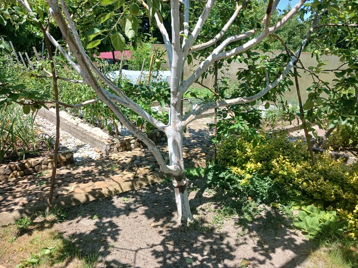 ������ ���������� ����� ����������� �� ����� ���� ����