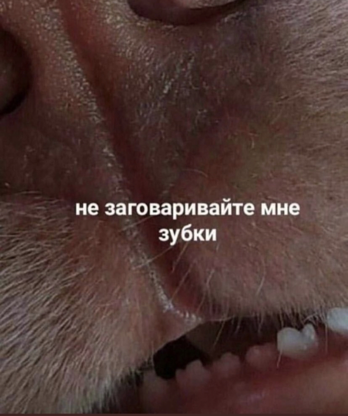 �������?