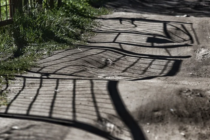 Shadow on the fence - My, Saint Petersburg, Eco-trail, Travels, Longpost