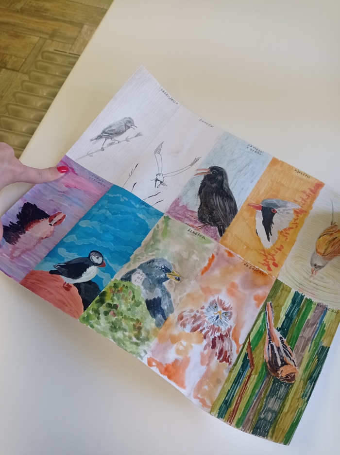 Тесты бумаги