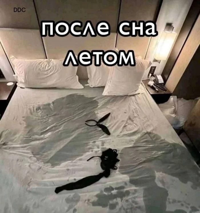 Heat - Images, Humor, Picture with text, Summer, Dream, Expectation and reality