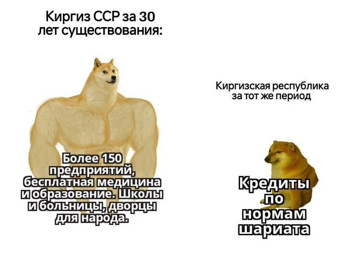 Kyrgyzstan - Politics, Communism, Capitalism, Kyrgyzstan, the USSR, Socialism, Doge, Memes, Humor, Picture with text
