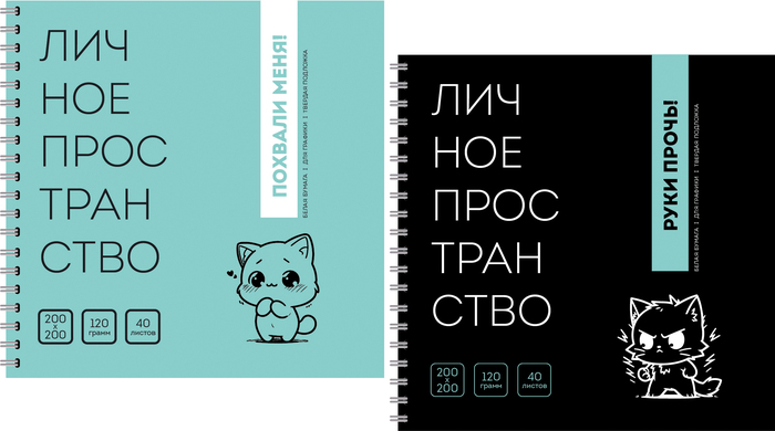 Пример концепта обложки