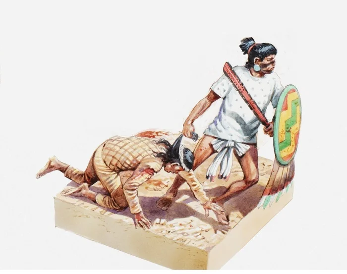 Aztec warriors tried not to kill the enemy, but to capture him - Military history, Aztecs, Mesoamerica, Past, Warrior