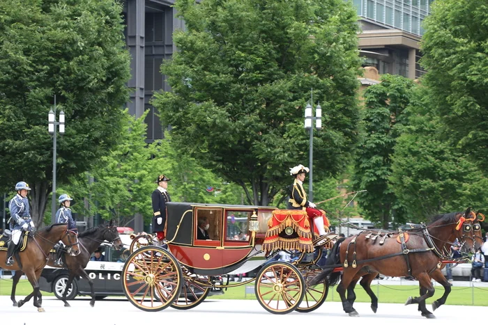 Manure in the center of Tokyo. How do foreign ambassadors to Japan go to pay their respects to the emperor and what does horse manure have to do with it? - My, Japan, Tourism, Facts, The emperor, Traditions, Video, Longpost