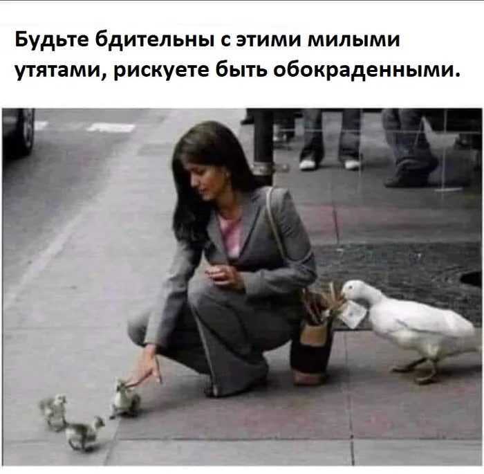 Attention - Picture with text, Memes, Duck, Гусь