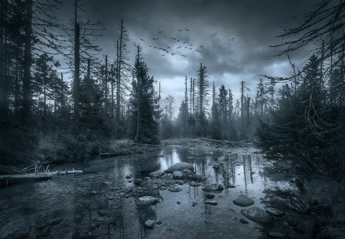 Lost place - My, The photo, Landscape, Stream, Forest, Slovakia, A rock, Reflection