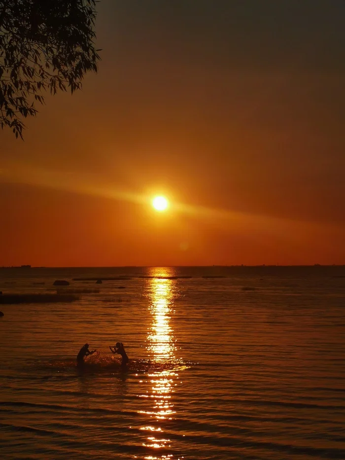 Round 1. Fight!! - My, Sea, Sunset, Bathing, The photo