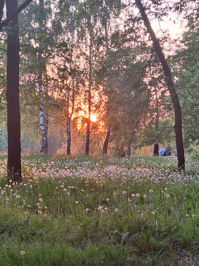 Sunset - My, Sunset, Nizhny Novgorod, Nature, Mobile photography