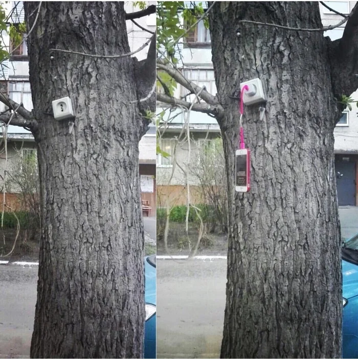 Nothing surprising)) - Memes, Humor, Power socket, Tree, Stupidity, Charger, Mobile phones