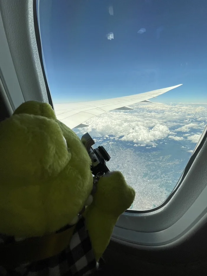 It's time to go on vacation, my dudes! - It Is Wednesday My Dudes, Wednesday, Frogs, Soft toy, Airplane, Height, Porthole, The photo, Clouds