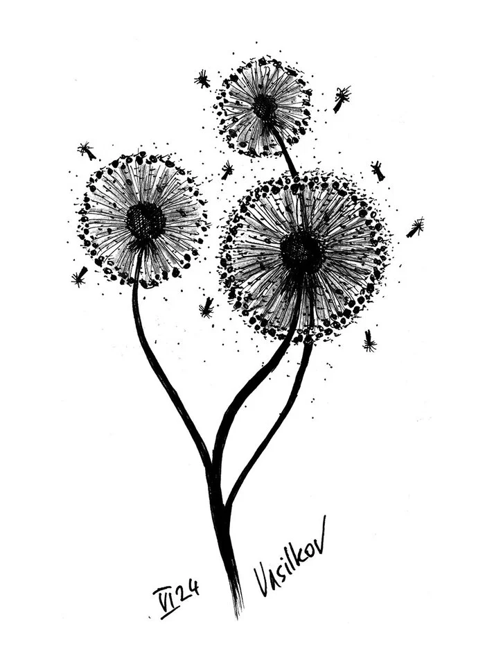 Three dandelions - My, Dandelion, Flowers, Art, Weeds, Nature, Dandelion
