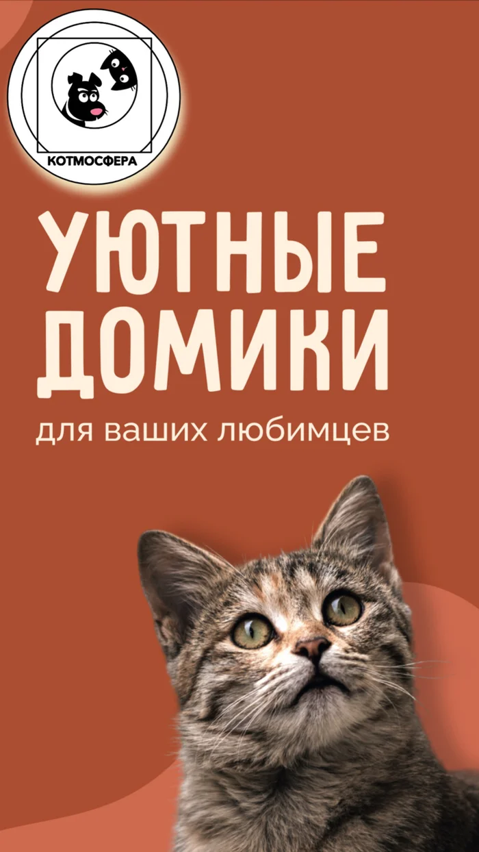 Мастерская стильных домиков для кошек и собак вышла на маркетплейс ОЗОН - Моё, Ozon, Товары для животных, Домик для питомца, Кот, Семейство кошачьих, Лежанка, Яндекс Маркет, Instagram, Толстые котики, Уют, Стиль, Интерьер, Длиннопост