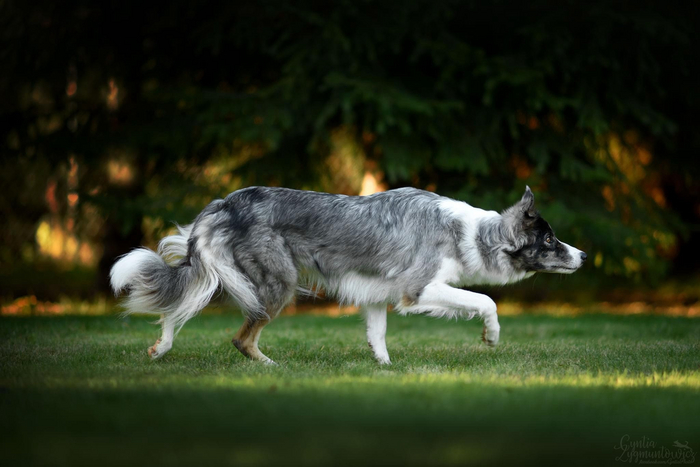 Keep Mind Tune Into A'Change Is Gonna Come