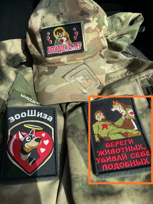 Animal extremists made patches calling for killing people - Radical animal protection, Stray dogs, Orenburg, Extremism, Video, VKontakte (link), Longpost