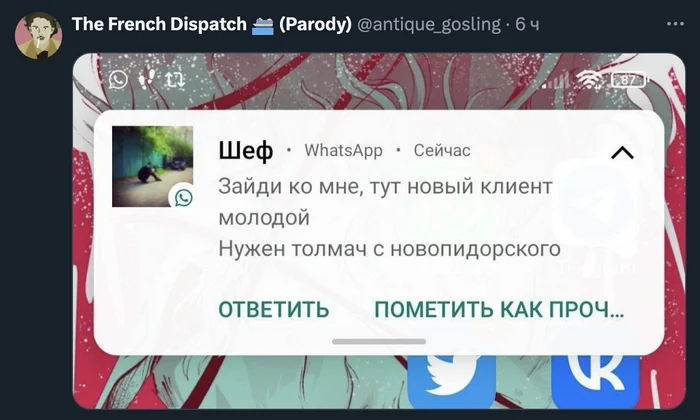 Translator - Screenshot, Twitter, Whatsapp, Correspondence