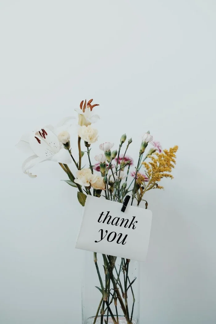 Gratitude for the present - Happiness, Gratitude, Charity, Yandex Zen (link)