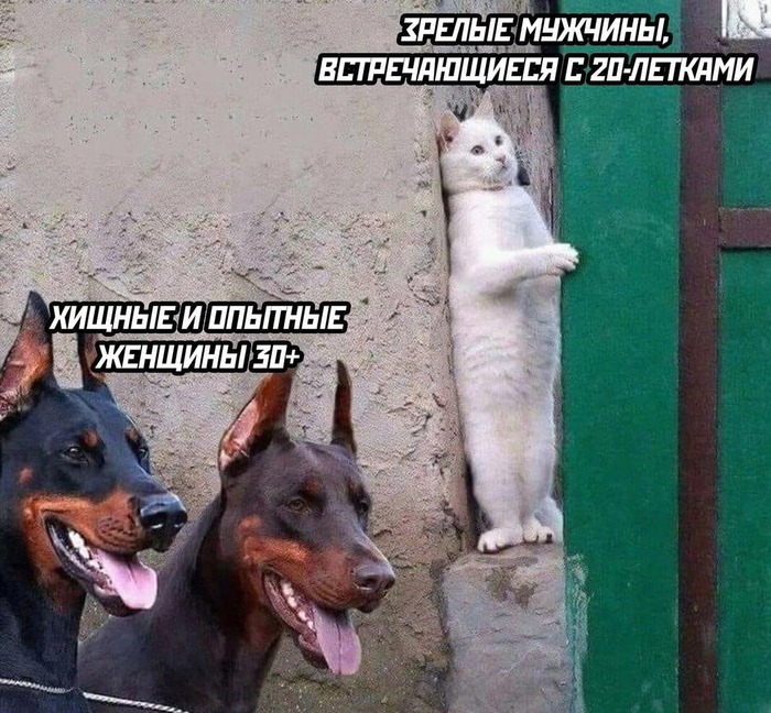 ,   ))))