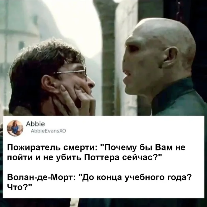 I want to kill an educated magician - Harry Potter, Voldemort, Death Eaters, Hogwarts, Picture with text, Translated by myself, VKontakte (link)