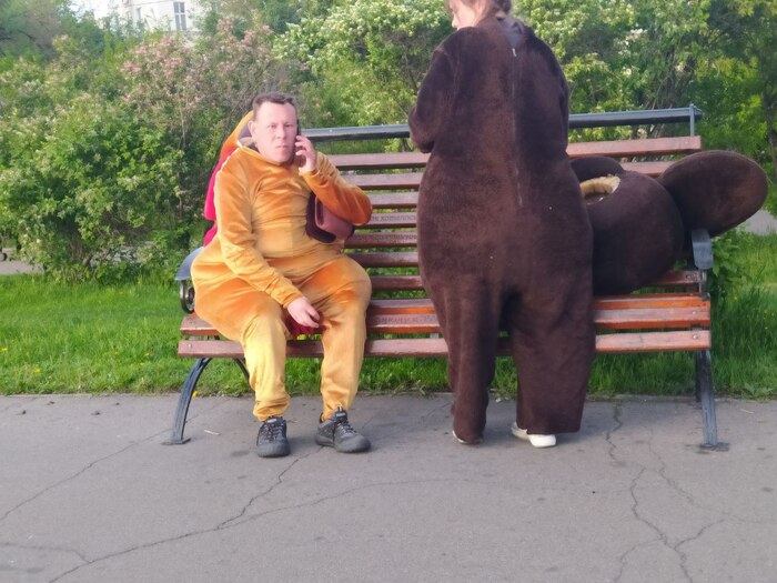 Лошадиная зараза в Иркутске