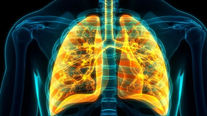 AI-based diagnosis of lung diseases has appeared in Russia - Innovations, Scientists, The science, Research, Nauchpop