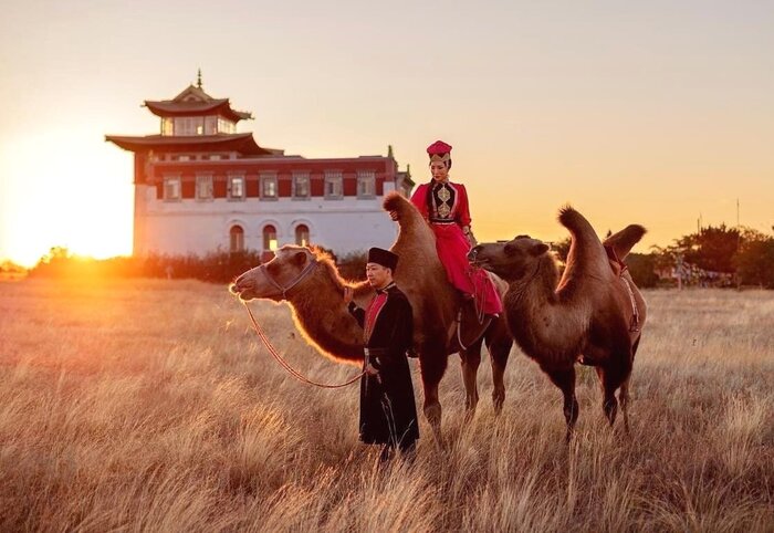 ��������