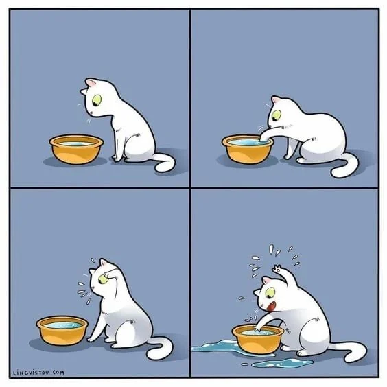 Bad water - cat, Lingvistov, Comics