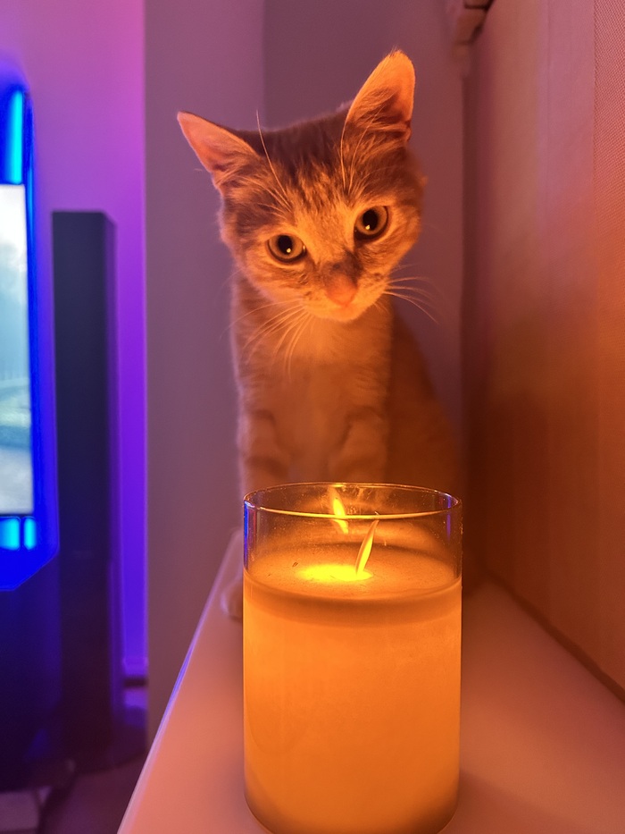   , , , 