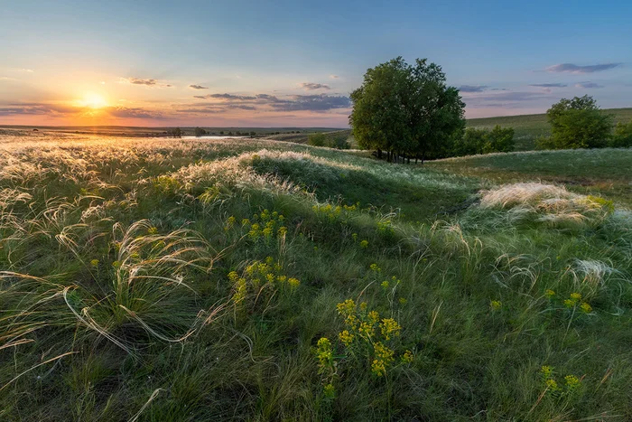 Between summer and spring - My, Steppe, Feather grass, Rostov region