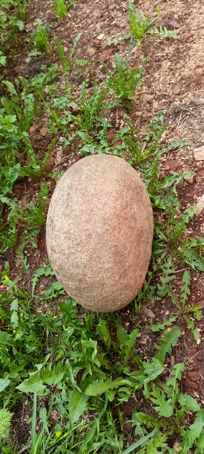Dinosaur stone - Longpost, My, A rock, Eggs, Dinosaurs