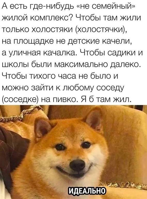 171765636819944201.jpg