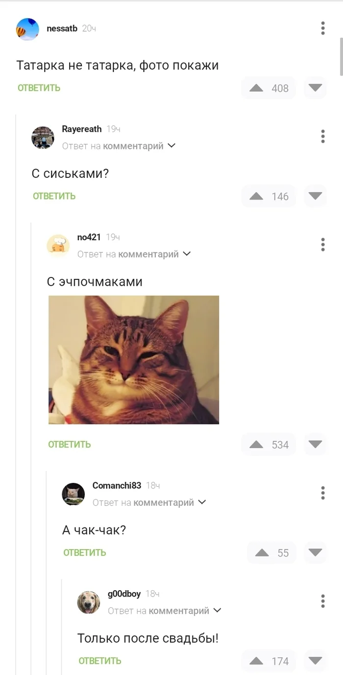 Smiled - Comments on Peekaboo, Tatars, Comments, Screenshot, cat