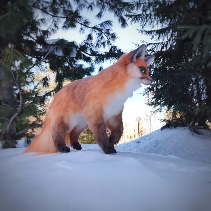 About foxes)) - My, Creation, Needlework with process, Fox, Video, Vertical video, Longpost