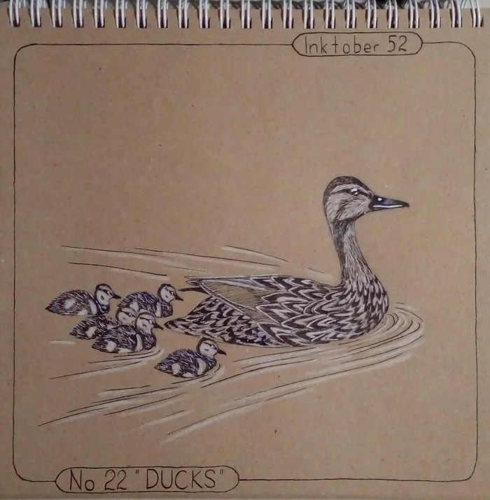 Inktober 52. Week 22 DUCKS - My, Inktober, Challenge, Mascara, Drawing, Wild ducks