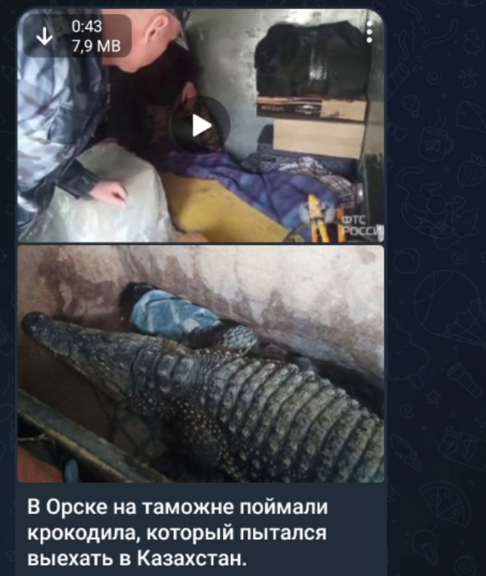 ����, �� ���� ��������?