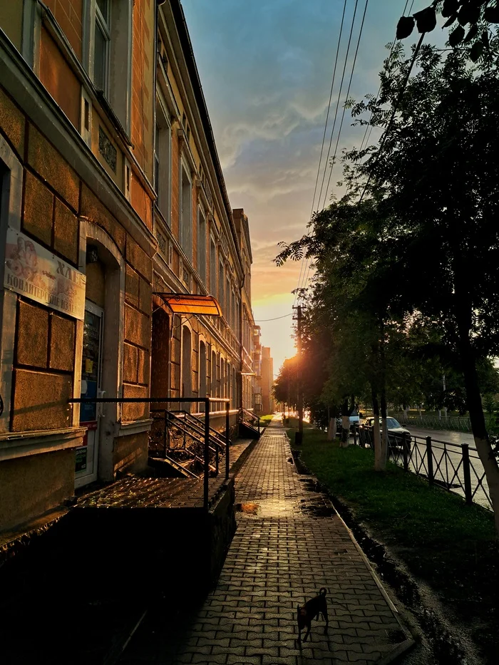 After the rain - My, Rain, Evening, Summer, The sun, Kaliningrad region, June, Sunset, The photo