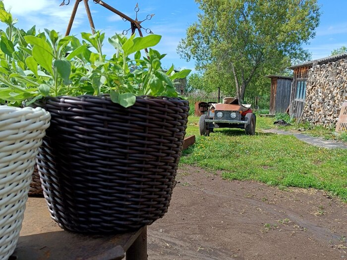 ������ ������������